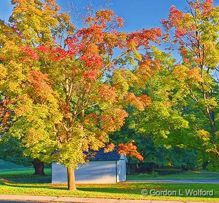 Early Autumn Color_28169.jpg - Photographed at Smiths Falls, Ontario, Canada.